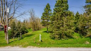 681163 260 Sdrd, Melancthon