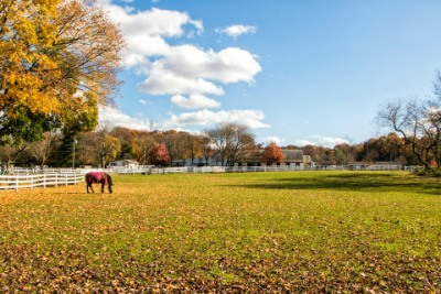 Equestrian Realtors Mono