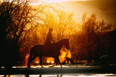Equestrian Realtors Melancthon