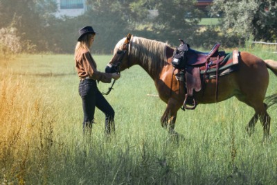Equestrian Realtors Mulmur