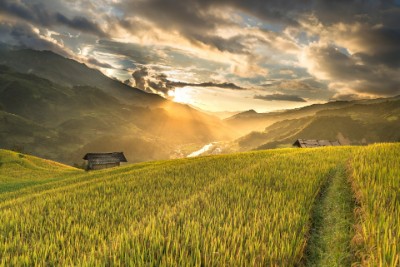 Find Rural Realtors Orangeville
