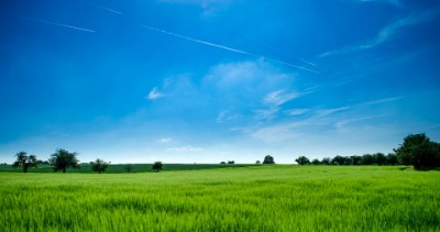 Find Rural Realtors Caledon