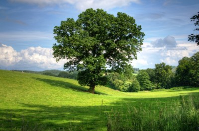 Find Rural Realtors Shelburne