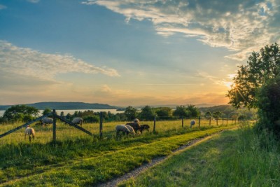 Find Rural Realtors Mulmur