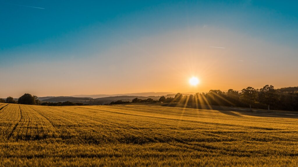 Rural Real Estate Agents - Maximizing Success with Specialized Agents